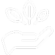 Quality icon